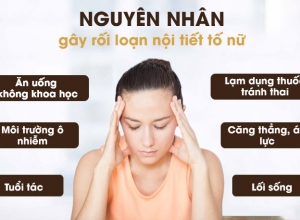 Rối Loạn Nội Tiết Tố Nữ - Nguyên Nhân, Biểu Hiện Và Cách Phòng Ngừa